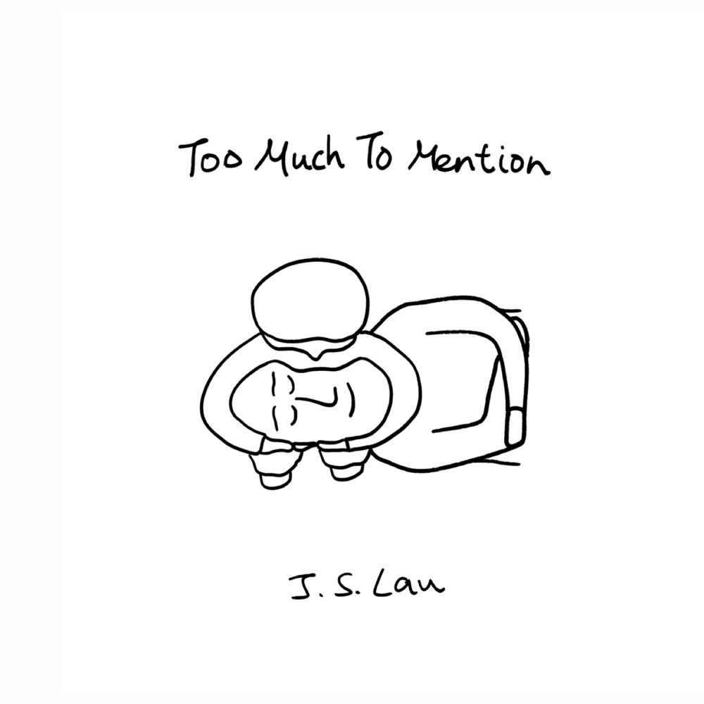 Cover of Too Much To Mention.